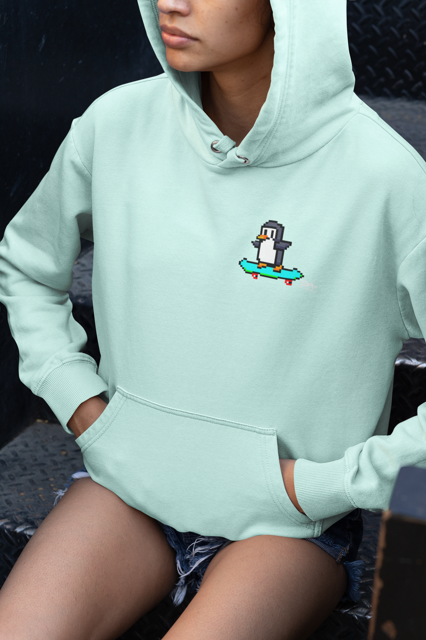 Pixel Pingu Eco Hoodie_nicht